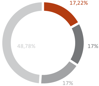 Gráfico: participación societaria